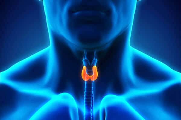 TSH: What Your Doctor May Not Know About Your Thyroid