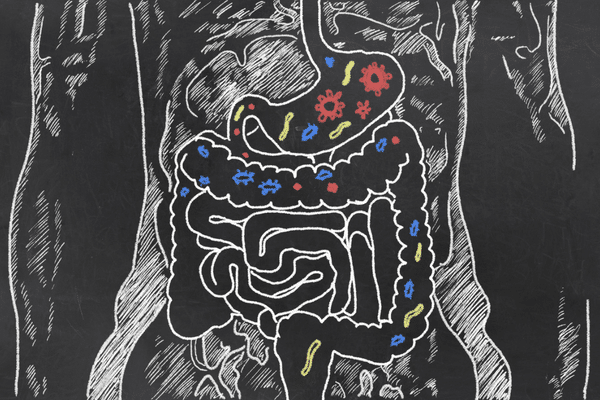 Is SIBO Causing your Gut Problems?