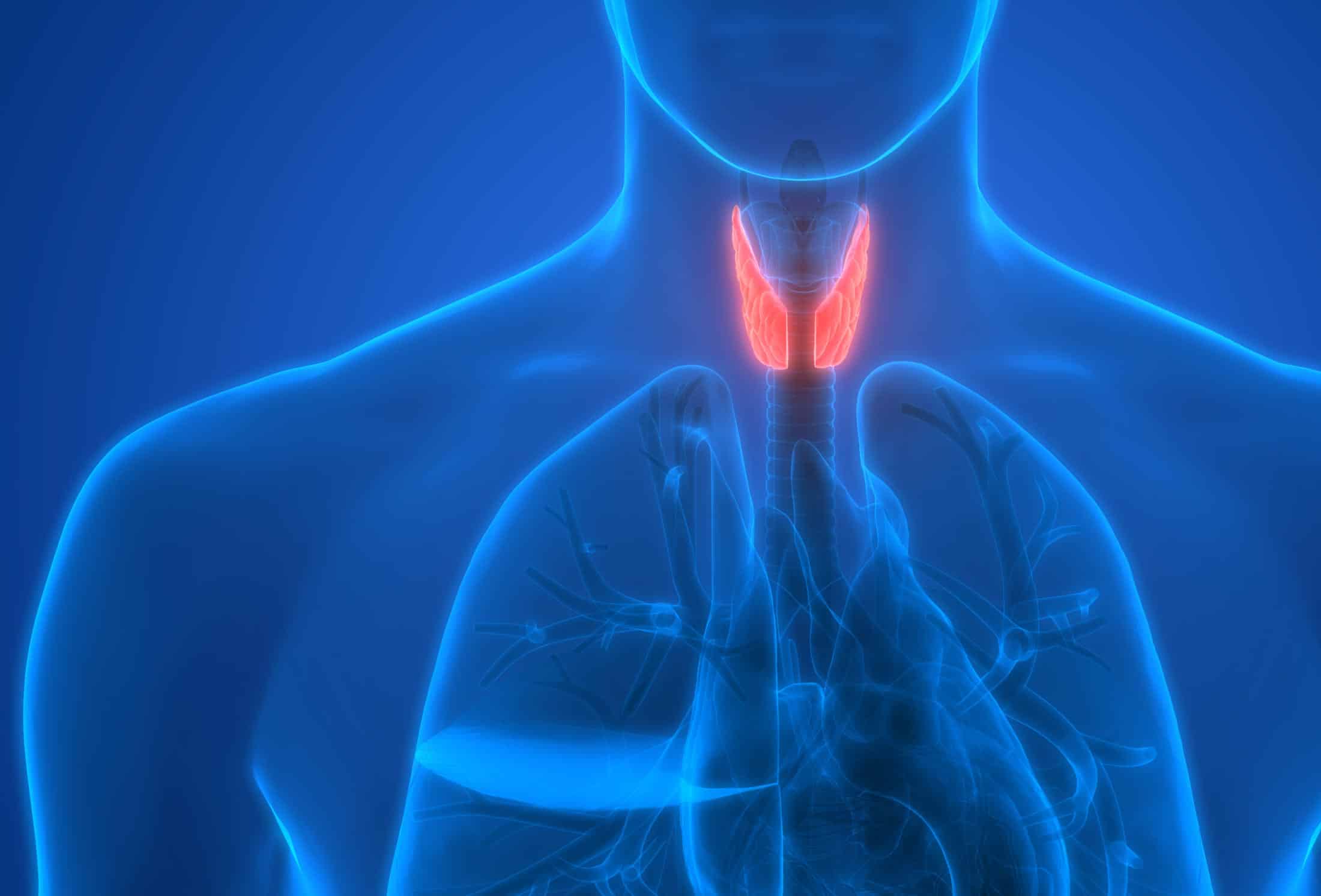 Thyroid Disorder: Often Misdiagnosed