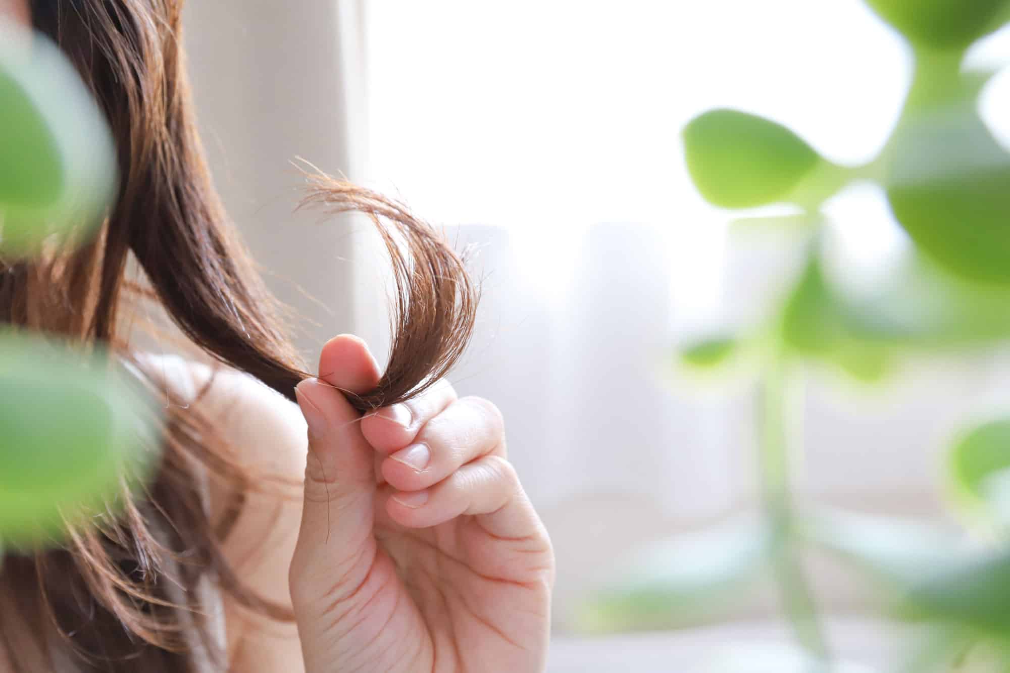 From Shedding to Shining: Natural Support for Androgenetic Alopecia